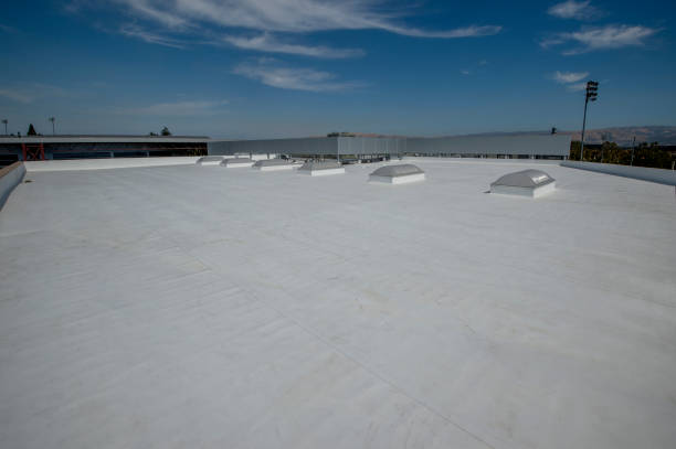 Best Chimney Flashing Repair  in Holland, MI