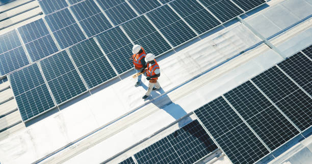 Best Roof Maintenance and Cleaning  in Holland, MI