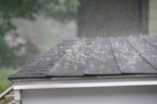 Best Emergency Roof Repair Services  in Holland, MI