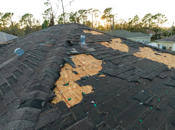 Best Roof Installation  in Holland, MI